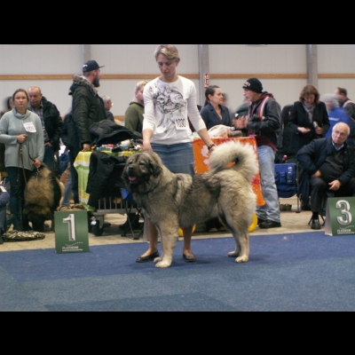 IDS KASSEL'18 - VALKYRIA